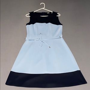 Women’s Ivanka Trump Dress